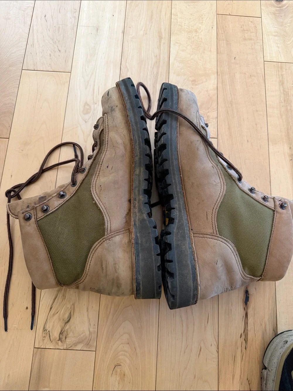 Danner Tan Leather Lace-Up Hiking Boots
